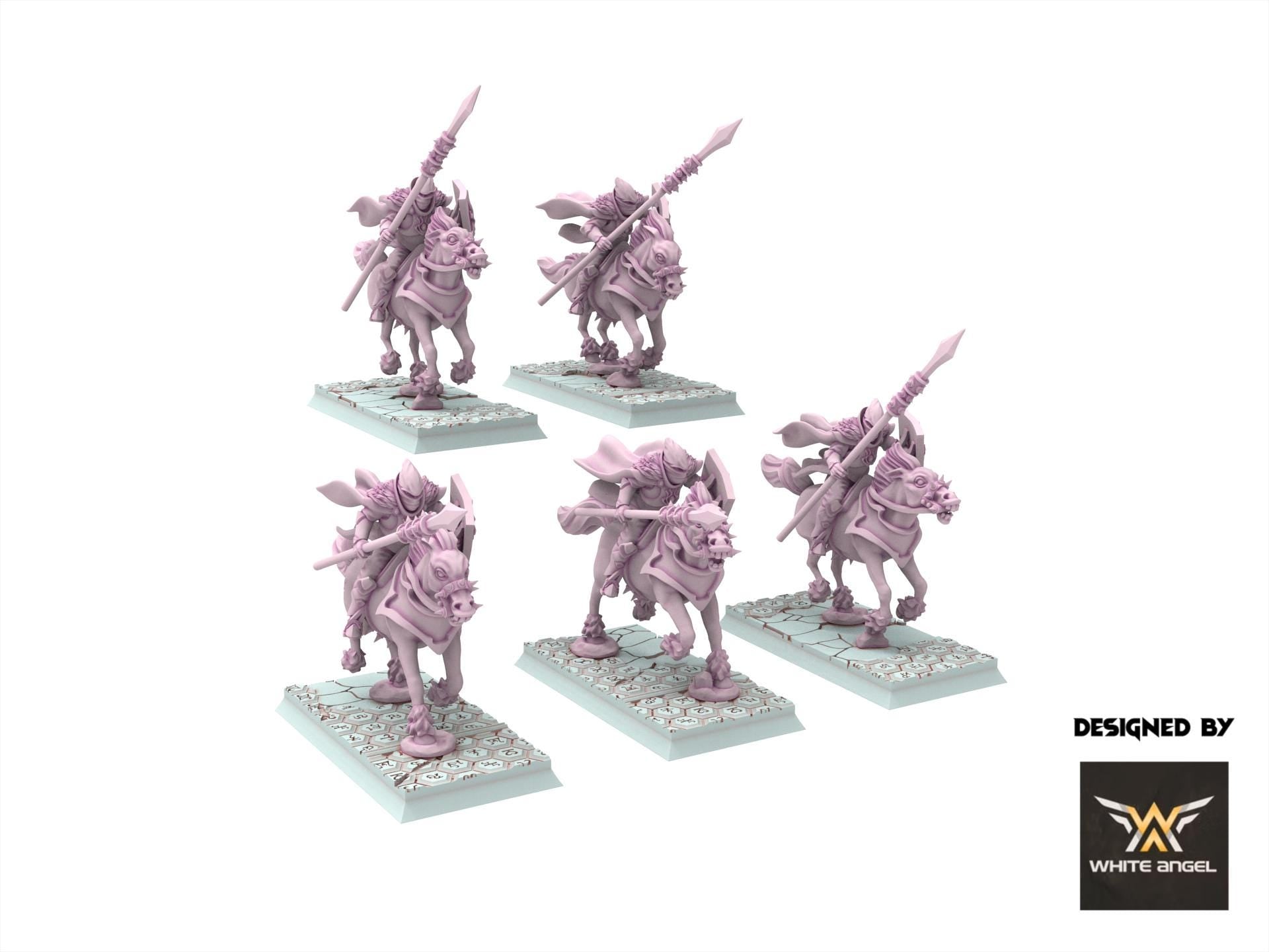 Dark Elves - Edgar Rider - Slaves of Darkness - White Angel Miniatures