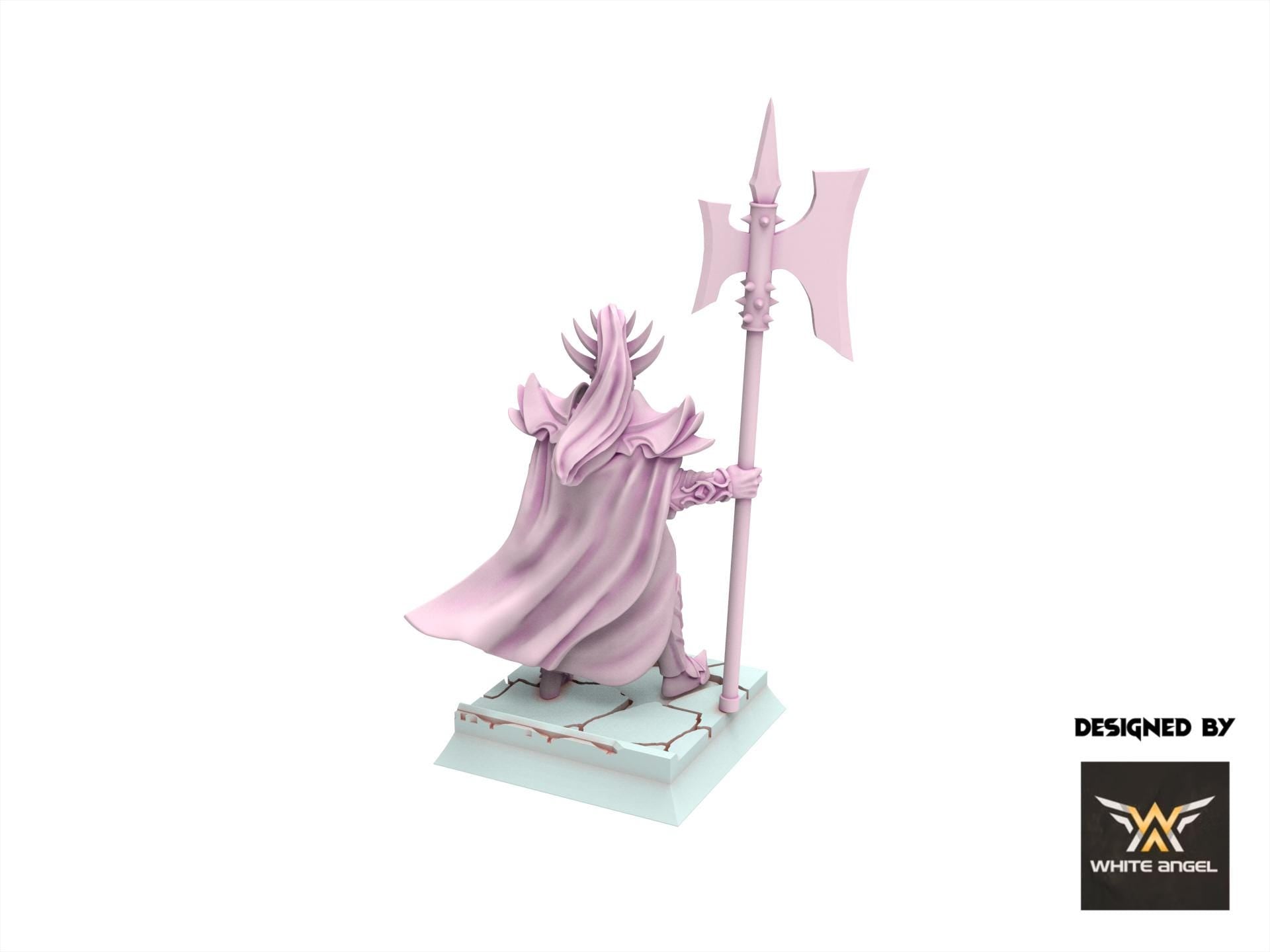 Dark Elves - Dark King - Slaves of Darkness - White Angel Miniatures