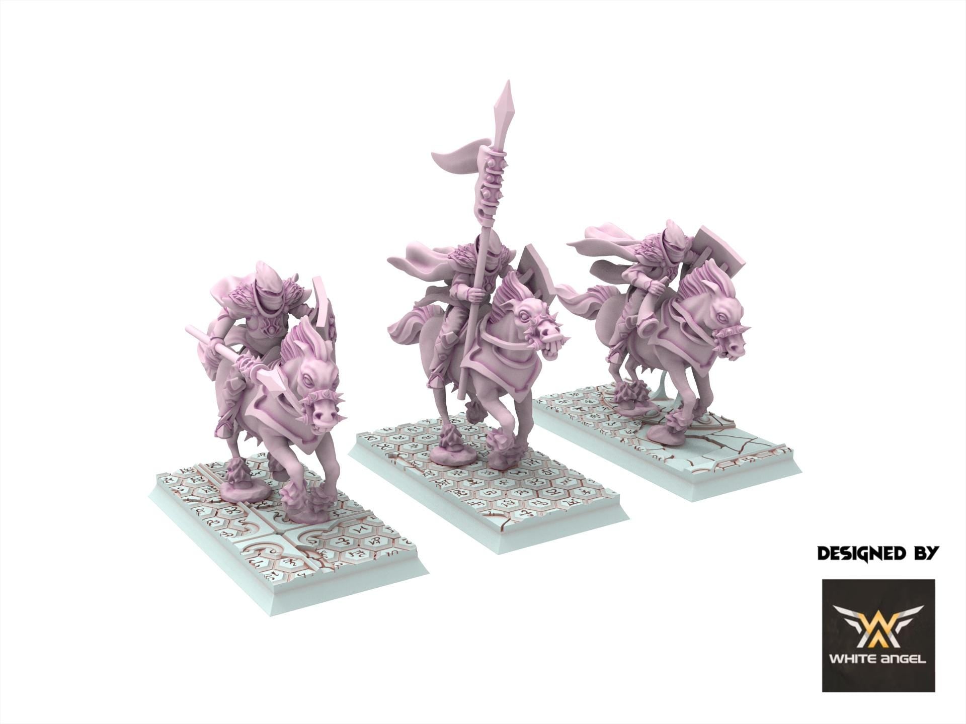 Dark Elves - Edgar Rider - Slaves of Darkness - White Angel Miniatures