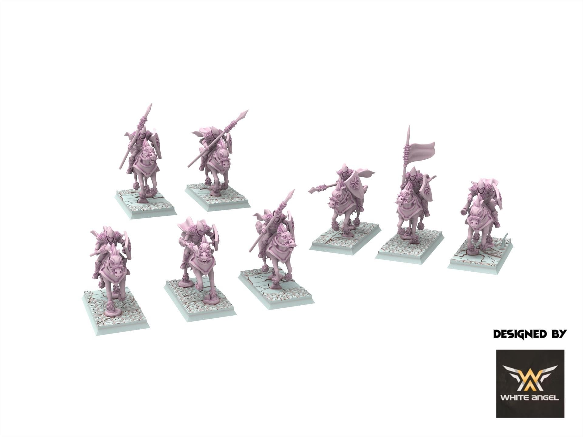 Dark Elves - Edgar Rider - Slaves of Darkness - White Angel Miniatures