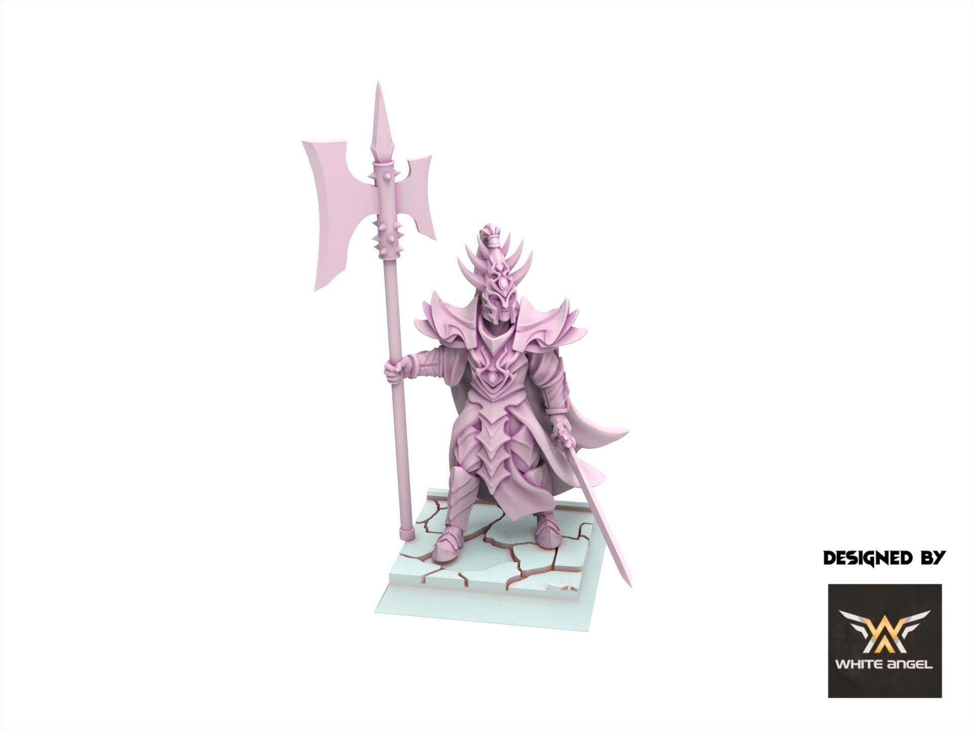 Dark Elves - Dark King - Slaves of Darkness - White Angel Miniatures