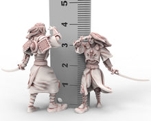 Load image into Gallery viewer, Hight Elves - 28mm Lion Guard Master Elite, Fantasy elves, Insular Kingdom usable for 9th Age, Fantasy Battle, Oldhammer, King of war, D&amp;D
