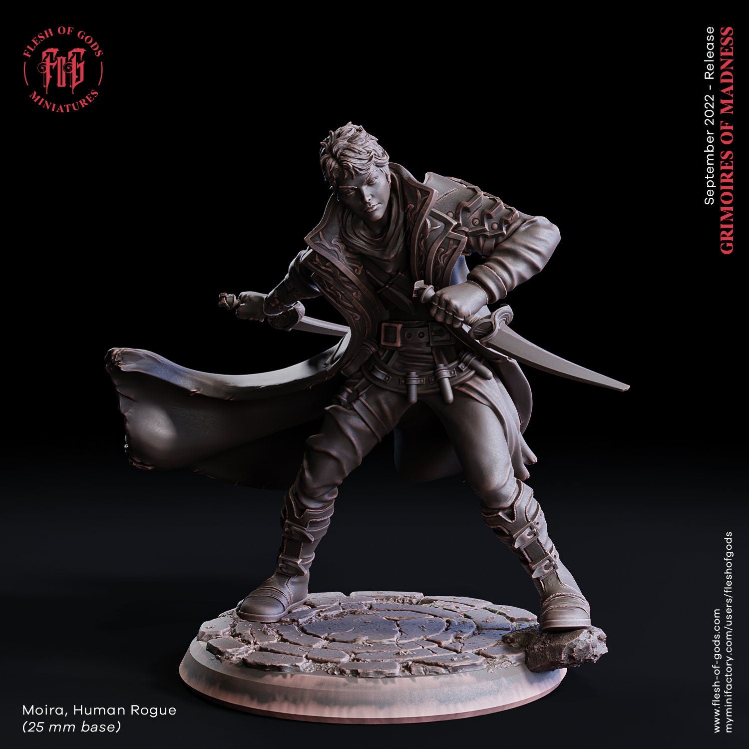Grimoires of madness - Hero - Moira Silverblade The Rogue, forbidden magics, Ennemy, Flesh of Gods, for Wargames, Dungeons & Dragons TTRPG