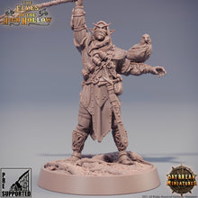 Load image into Gallery viewer, The Elves of the High Hollow - Merlo Kataa, quest for glory, DayBreak Miniatures, for Wargames, Dungeons &amp; Dragons TTRPG
