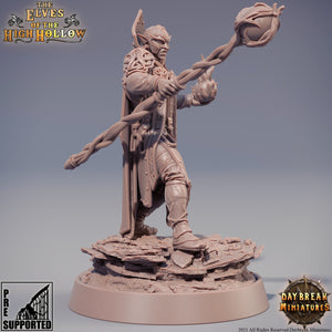 The Elves of the High Hollow - Soone Thaar, the Chooser Words, quest for glory, DayBreak Miniatures, for Wargames, Dungeons & Dragons TTRPG