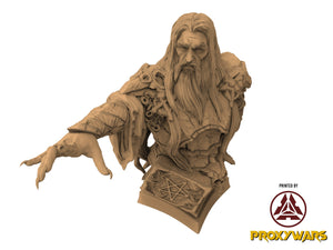 Grimoires of madness - Boss - The Archmage (25 mm) , forbidden magics, Ennemy, Flesh of Gods, for Wargames, Dungeons & Dragons TTRPG