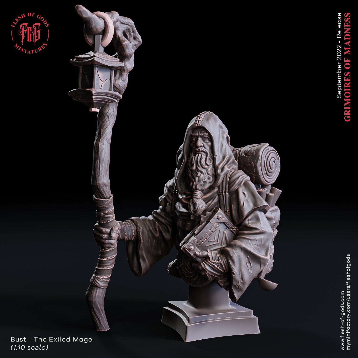 Grimoires of madness - Hero - The Dualist, forbidden magics, Ennemy, Flesh of Gods, for Wargames, Dungeons & Dragons TTRPG