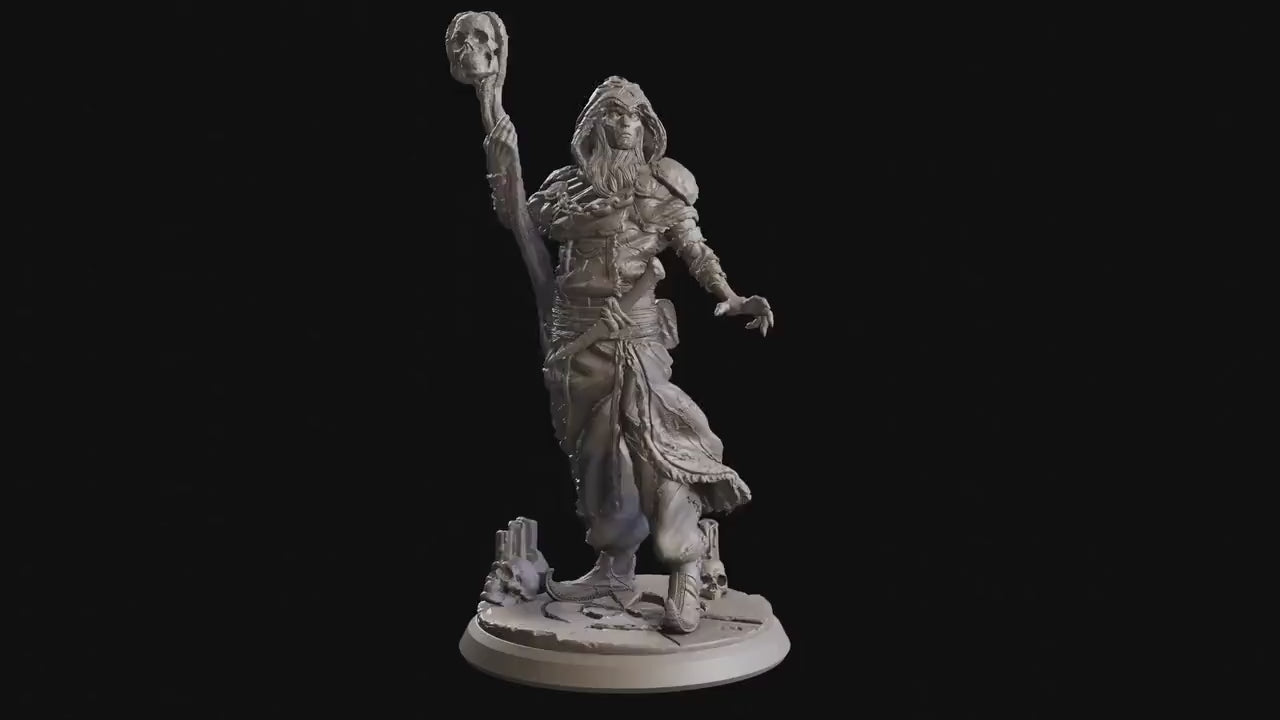 The Court Blood - Enemy - Aimothea Cultist 03, creatures of darkness, Ennemy, Flesh of Gods, for Wargames, Dungeons & Dragons TTRPG