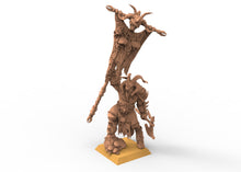 Load image into Gallery viewer, Beastmen - Noble Beastmen of Chaos
