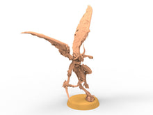 Load image into Gallery viewer, Beastmen - Harpies Eastern Chaos Beastmen
