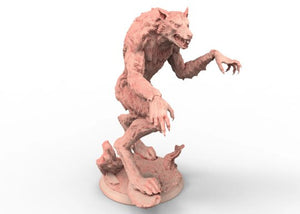 Undead - Werewolf, The Draconian Devotees Vampires, Bloodthirster Flesh of Gods