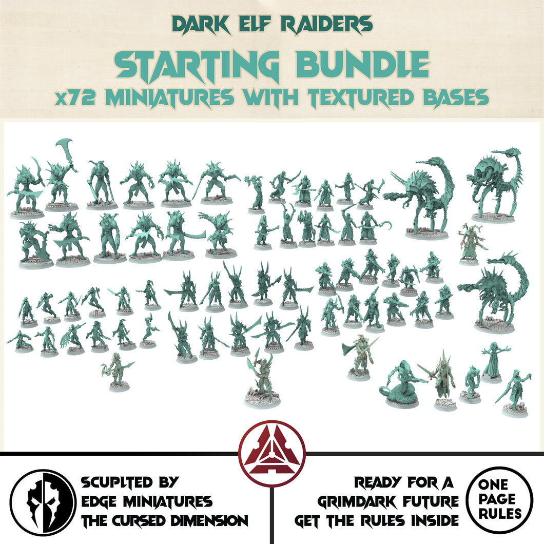 Dark City - Dark Elf Raiders - Starting Bundle torture sadistic masters Dark eldar drow, Armored & totured Warriors, female Gladiator