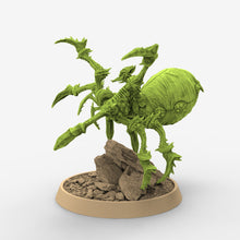 Charger l&#39;image dans la galerie, Green Skin - Raoul Pecker on Black Webber, The Tusked Marauders of Gauntwood, daybreak miniatures
