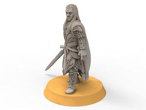 Rivandall - Lord protector of the heaven, Last Hight elves from the West, Middle rings miniatures for wargame D&D, Lotr...