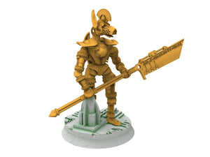 Cinan - Phaophi - Phalanx, Battle Drone, space robot Anubis guardians of the Necropolis, modular posable miniatures