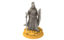 Charger l&#39;image dans la galerie, Rivandall - Bloody elves with sword and shield, Last Hight elves from the West, Middle rings Davales miniatures pour wargame D&amp;D, SDA...
