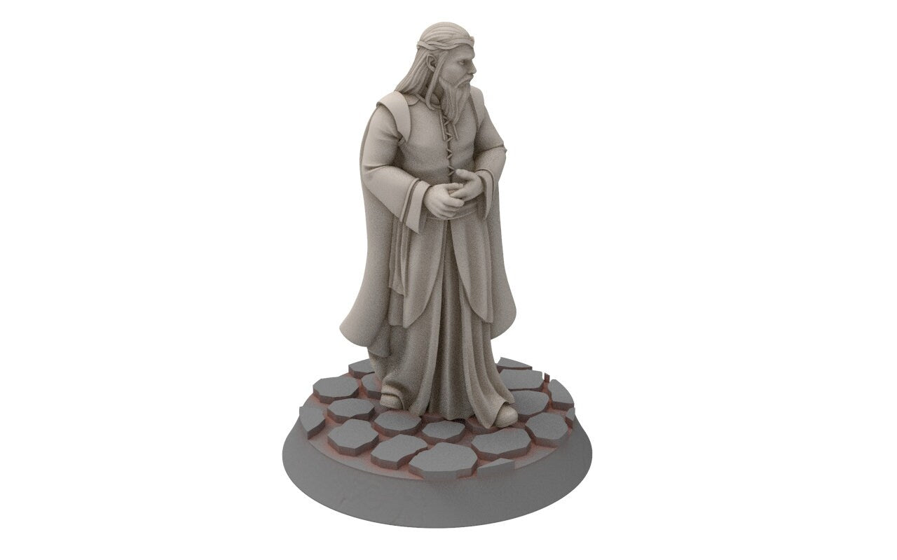 Rivandall - Ciridan Lord protector of the haven, Last Hight elves from the West, Middle rings miniatures for wargame D&D, LOTR...