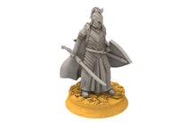 Charger l&#39;image dans la galerie, Rivandall - Bloody elves with sword and shield, Last Hight elves from the West, Middle rings Davales miniatures pour wargame D&amp;D, SDA...
