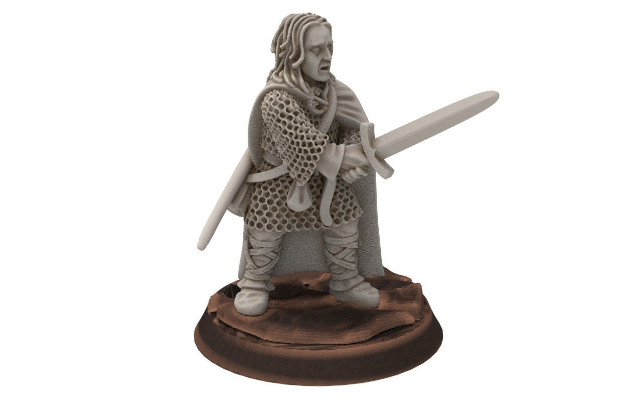 Rivandall - Aldin, Warden off the shire, Last Hight elves from the West, Middle rings miniatures for wargame D&D, Lotr...