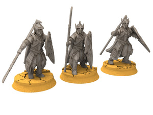 Rivandall - Kingguard Swordman, elves from the West, Middle rings for wargame D&D, Lotr... Modular convertible miniatures Quatermaster3D