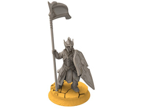 Rivandall - Banner bearer Elf, Last elves from the West, Middle rings for wargame D&D, Lotr... Modular convertible miniatures Quatermaster3D