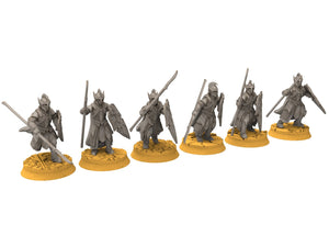 Rivandall - Kingguard Swordman, elves from the West, Middle rings for wargame D&D, Lotr... Modular convertible miniatures Quatermaster3D