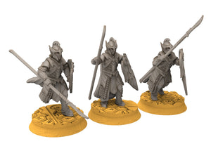 Rivandall - Kingguard Spearmen, elves from the West, Middle rings for wargame D&D, Lotr... Modular convertible miniatures Quatermaster3D