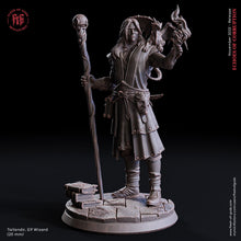 Charger l&#39;image dans la galerie, Humans - Talandir, The Elf Wizard, for Wargames, Pathfinder, Dungeons &amp; Dragons and other TTRPG.
