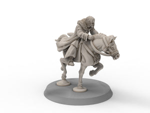 Rohan - King Adviser, Kingdom of Rohan, the Horse-lords, rider of the mark, minis for wargame D&D, Lotr...