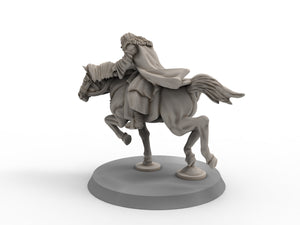 Rohan - King Adviser, Kingdom of Rohan, the Horse-lords, rider of the mark, minis for wargame D&D, Lotr...