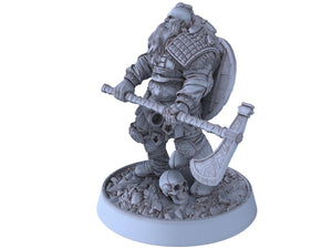 Vikings - Erik the Great - Northmen of the Howling Glacier, daybreak miniatures, for Wargames, Pathfinder, Dungeons & Dragons