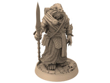 Charger l&#39;image dans la galerie, Lion kingdom - King Wayfarer - The Kings of Karmaaz, daybreak miniatures, for Wargames, Pathfinder, Dungeons &amp; Dragons
