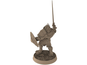 Lion kingdom - King Goldenmane - The Kings of Karmaaz, daybreak miniatures, for Wargames, Pathfinder, Dungeons & Dragons