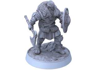 Vikings - Einar Bloodaxe - Northmen of the Howling Glacier, daybreak miniatures, for Wargames, Pathfinder, Dungeons & Dragons