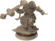 Load image into Gallery viewer, Lion kingdom - King Frency - The Kings of Karmaaz, daybreak miniatures, for Wargames, Pathfinder, Dungeons &amp; Dragons
