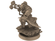 Load image into Gallery viewer, Lion kingdom - King Frency - The Kings of Karmaaz, daybreak miniatures, for Wargames, Pathfinder, Dungeons &amp; Dragons
