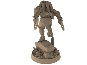 Lion kingdom - King Glaive - The Kings of Karmaaz, daybreak miniatures, for Wargames, Pathfinder, Dungeons & Dragons