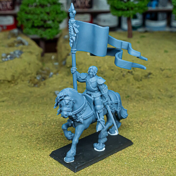 Arthurian Knights - Baroness of Gallia, for Oldhammer, king of wars, 9th age